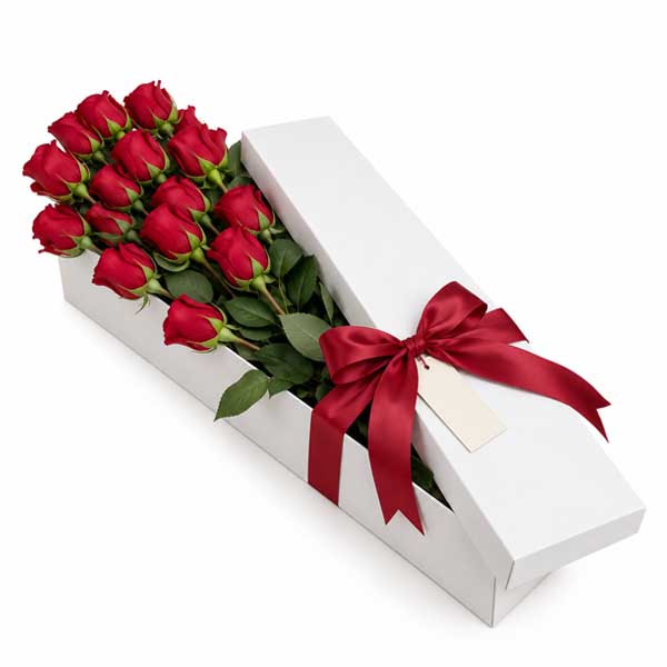 Caja de Rosas X24