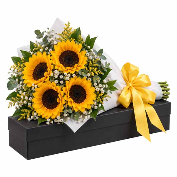 Caja X12 Girasoles